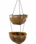 Double Coconut Plant Hanger