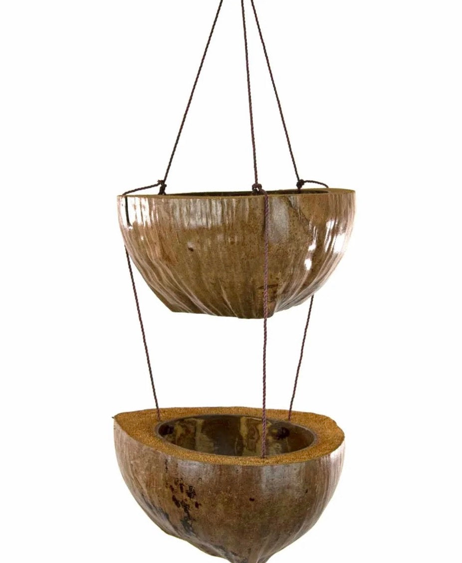 Double Coconut Plant Hanger