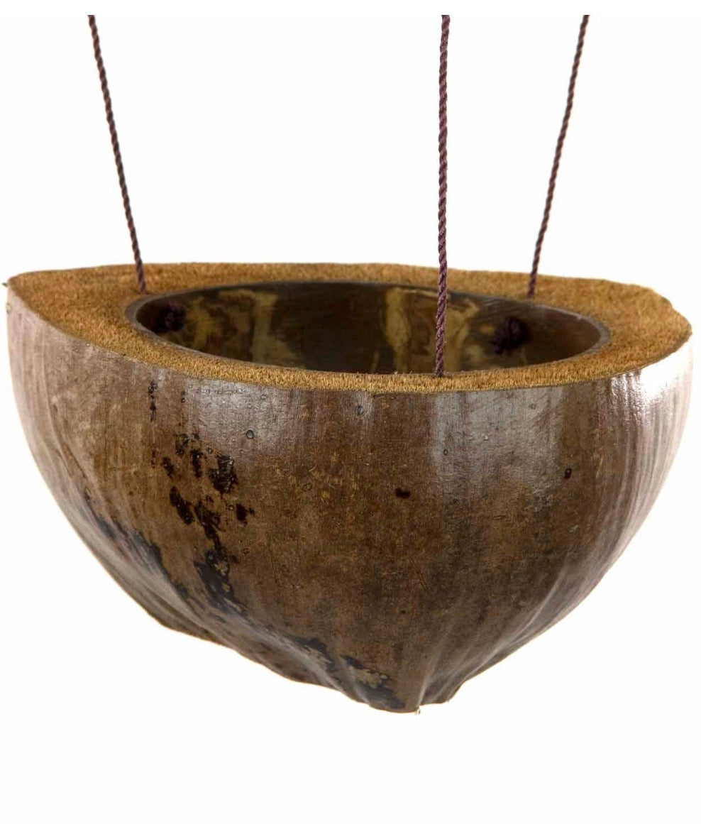 Double Coconut Plant Hanger