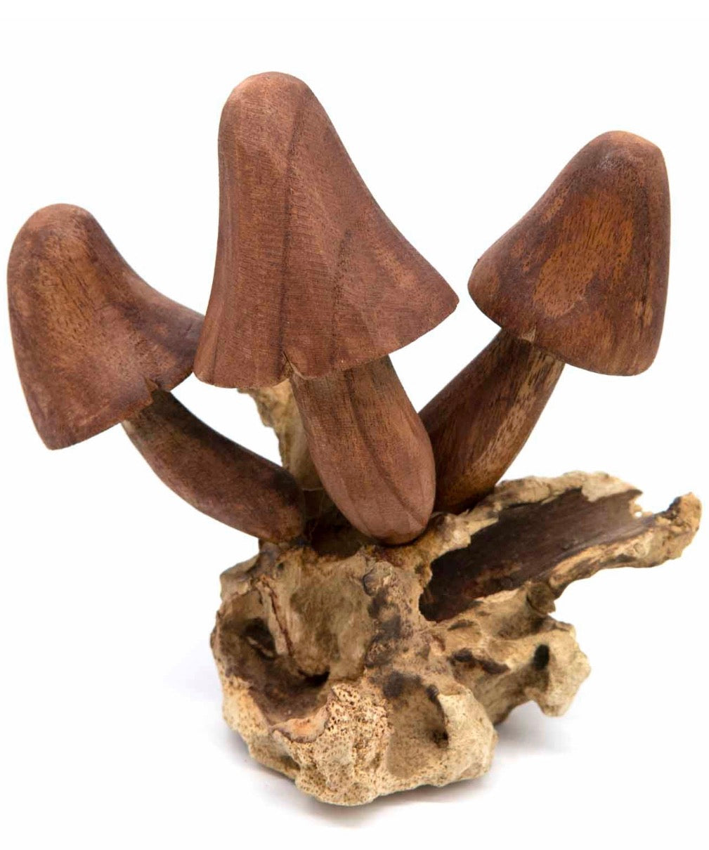 Wall Mushroom Carvings - Large